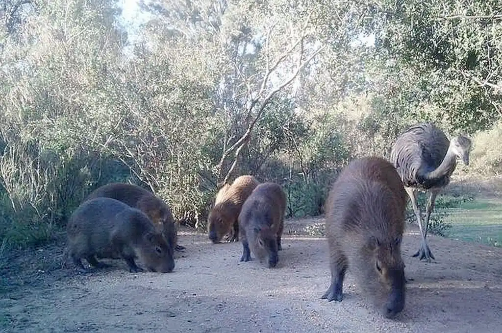 Declaran el 4 de septiembre como el Día de las Áreas Naturales Protegidas