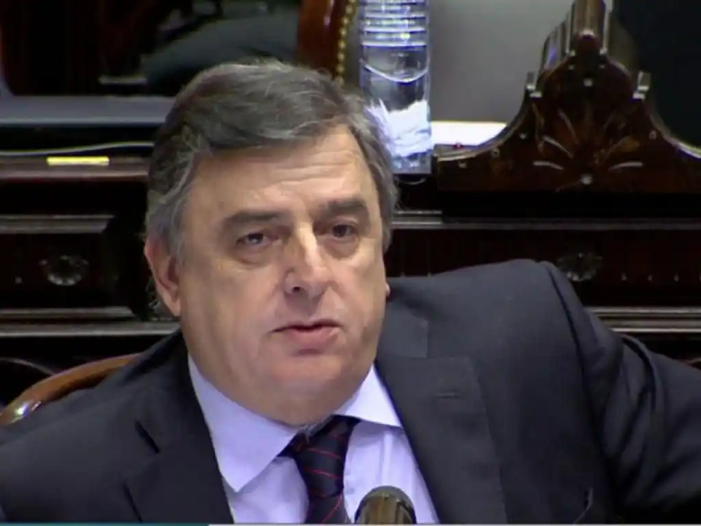 Negri: «A la oposición la lidera Cristina desde Twitter»