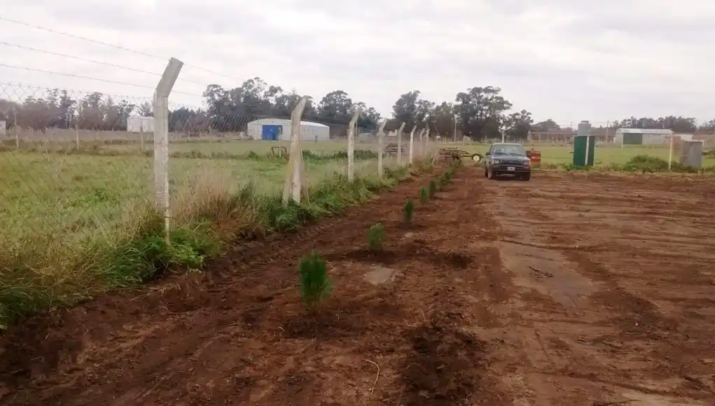 PRENSA MUNICIPAL: El Ente Vial avanza en la puesta a punto de su nueva sede y se hace de más maquinaria