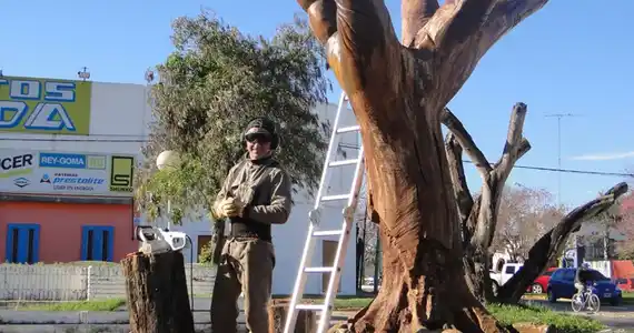 Comenzó el VII Encuentro Nacional de Escultores