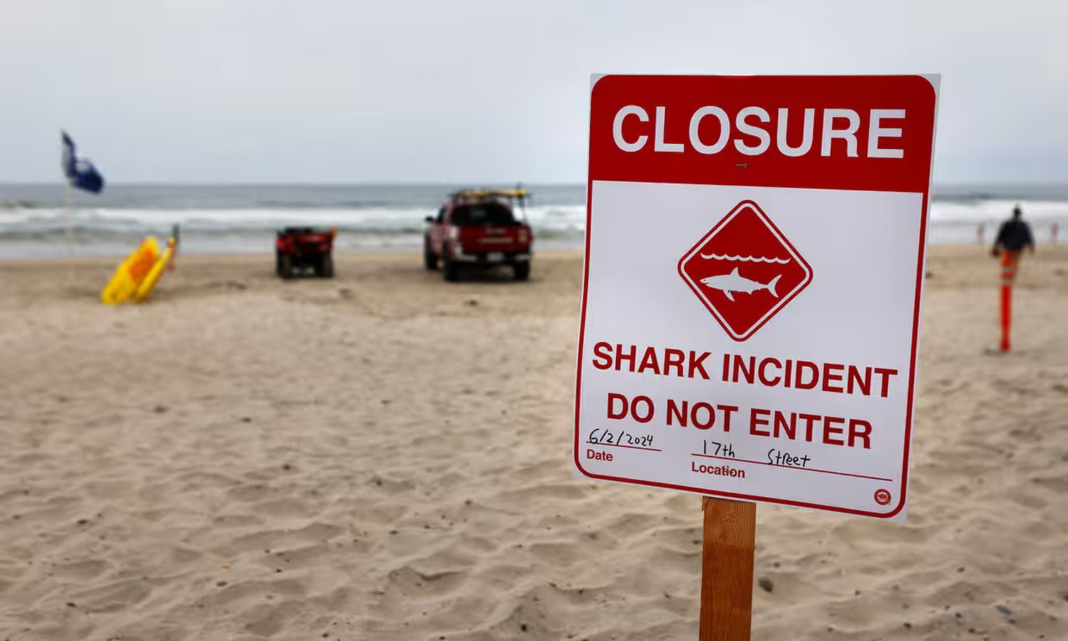 A shark also attacked a man off Del Mar City beach in California on 2 June