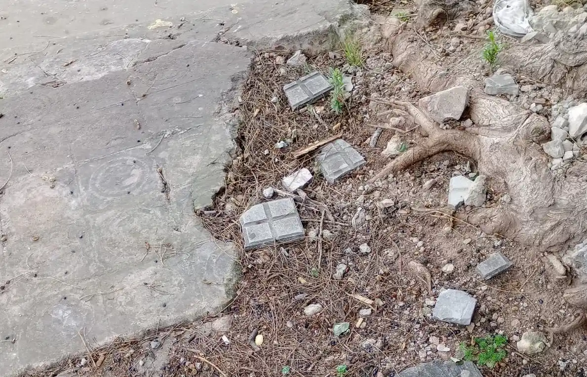 Veredas y postes: un concurso de falta de amor propio para armar un mapa de San Pedro