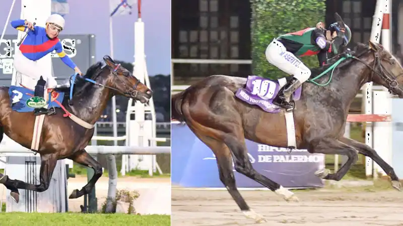 Vundu y Need You Tonight buscarán la octava victoria para la Argentina en el GP Latinoamericano (G1) en el Hipódromo da Gávea, Río de Janeiro, Brasil.