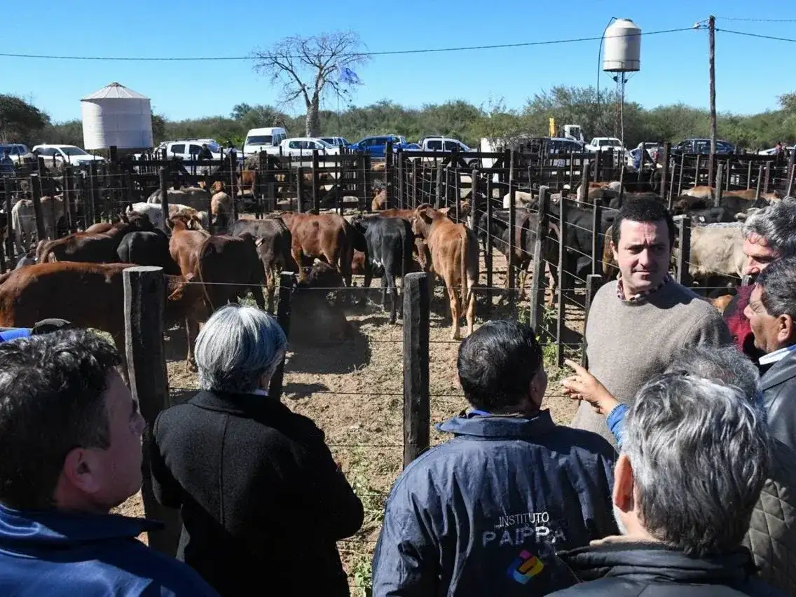 Ingeniero Juárez fue sede de una exitosa Feria Ganadera Paippera