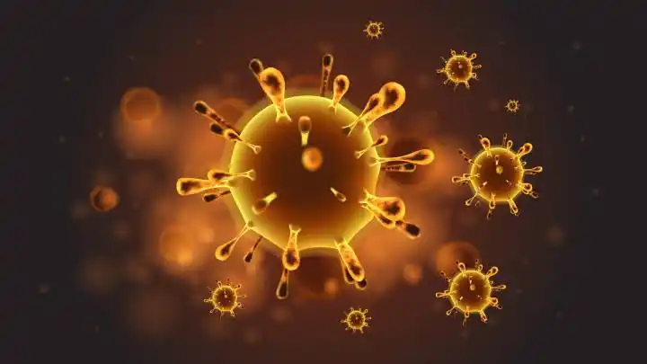 #Coronavirus 8 de julio: 19.256 nuevos casos y 466 muertes reportadas en las últimas 24 horas