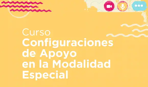 Se realizó una capacitación virtual para la inclusión educativa