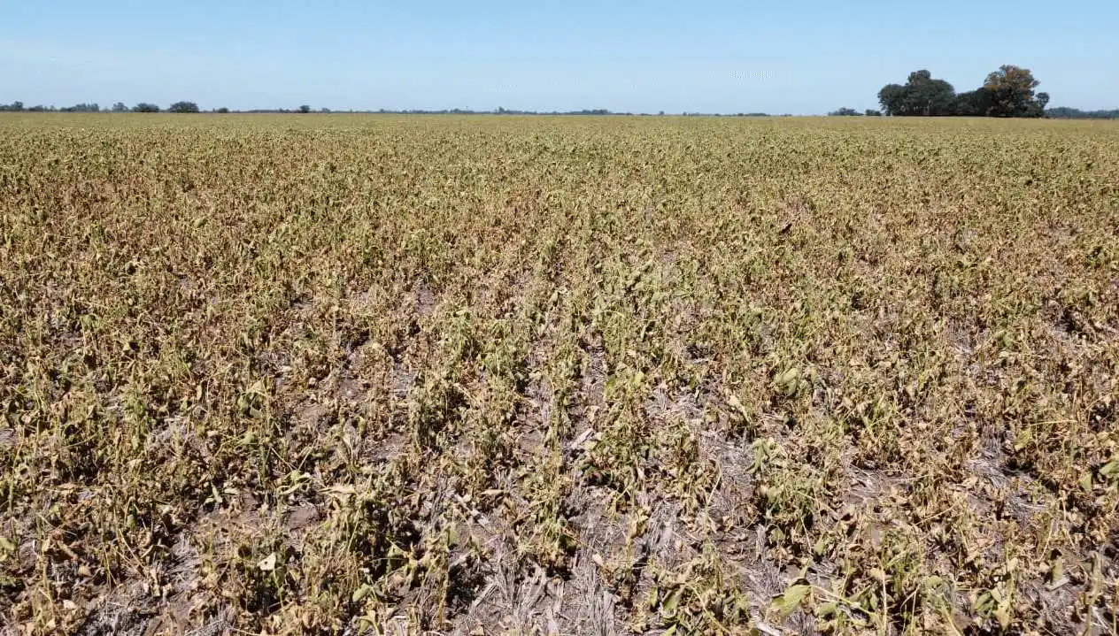 El INTA advirtió sobre un probable regreso de “La Niña” en la segunda mitad del año