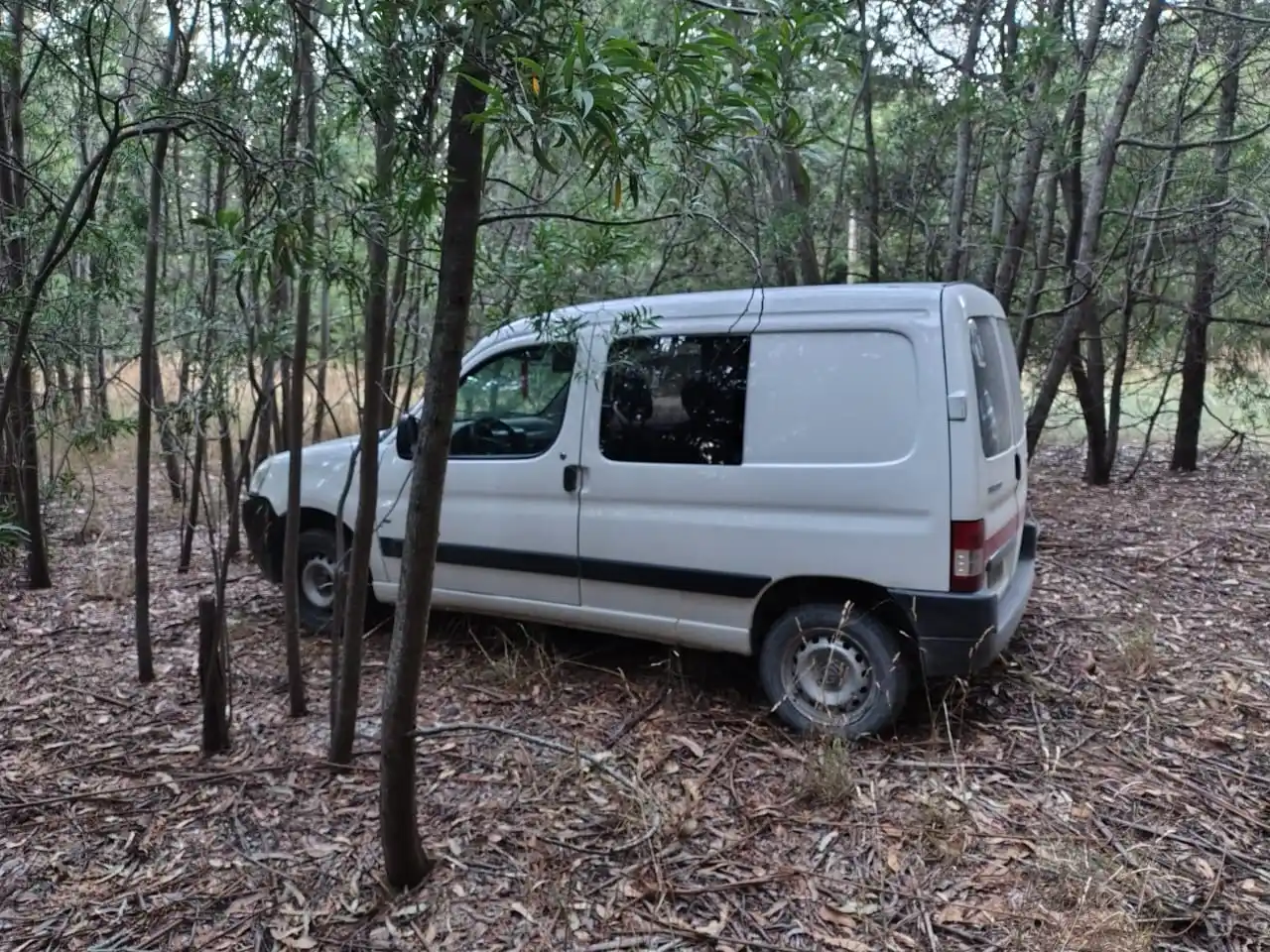 auto