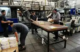 Moccero pide que el freno a la tarifa de gas se extienda a las Pymes