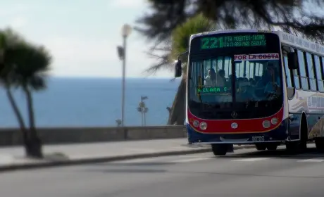 Mar del Plata: Por los robos, evalúan suspender el servicio nocturno de colectivos