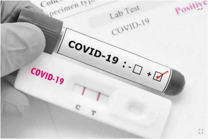 ¿Cómo deben hacer los docentes para justificar las faltas por COVID-19?