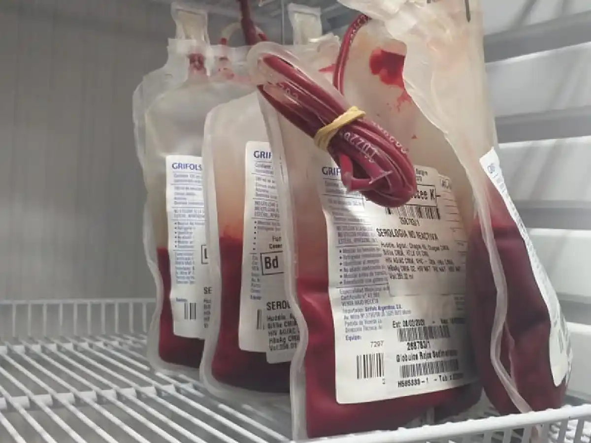  Anunciaron jornada de donación de médula ósea: un gesto sencillo que vale una vida
