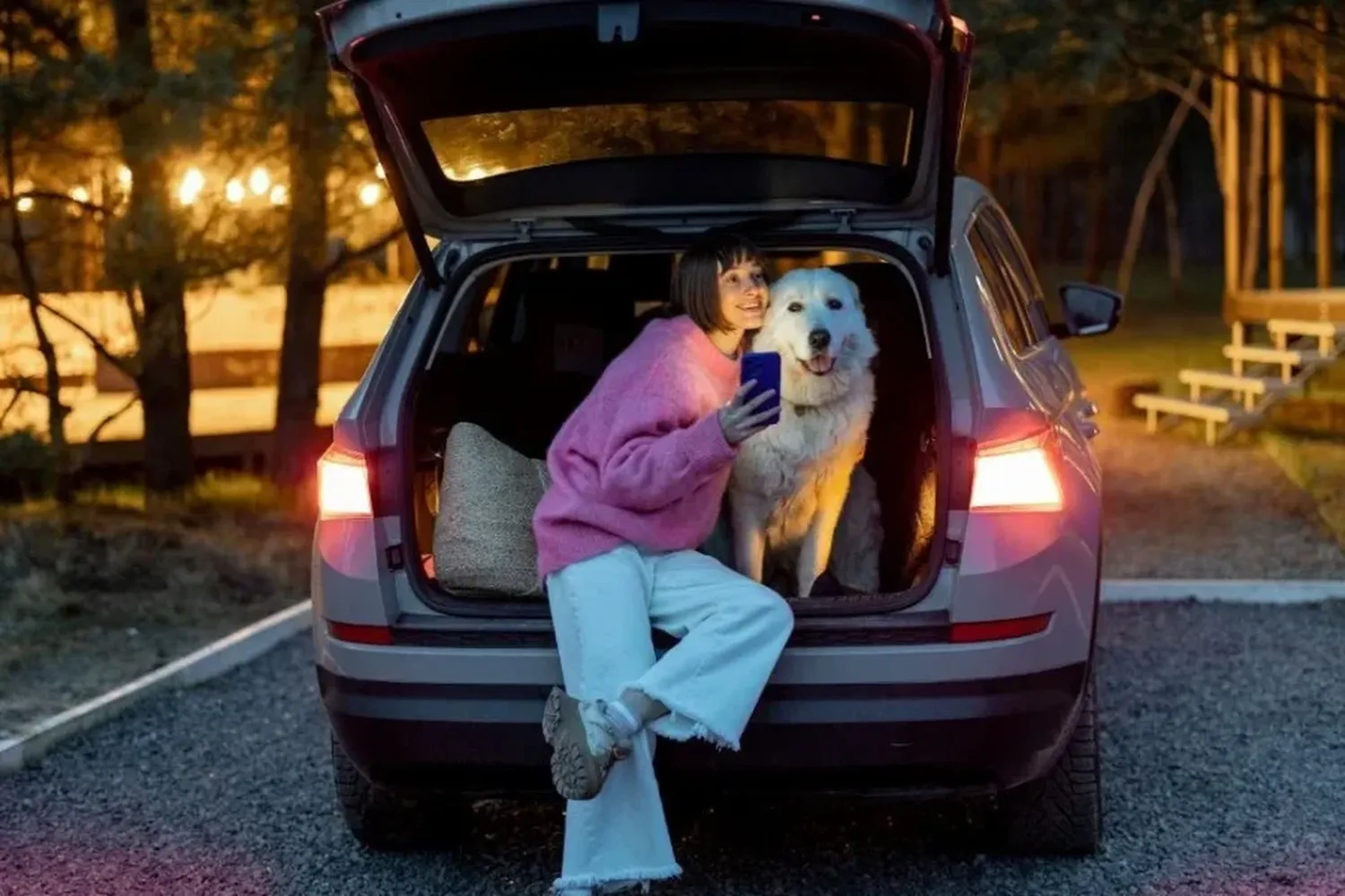 ¿Viajas con mascotas? Te tiramos algunos tips para evitar problemas 