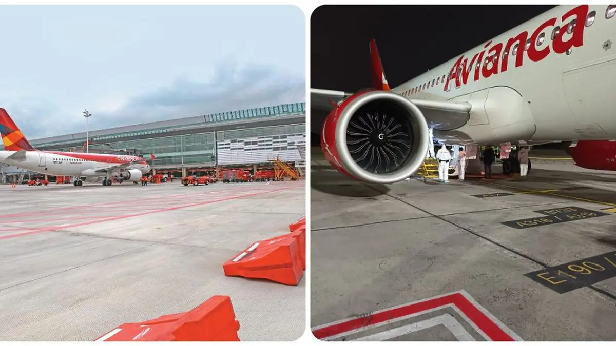 ¡HORRIBLE! Dos polizones mueren en un vuelo entre Chile y Colombia