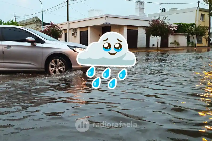 ¡Por fin llegó lo que tanto esperábamos!