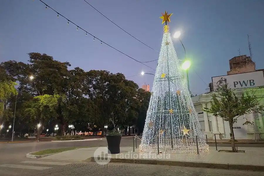 El momento más esperado de diciembre: se enciende el Árbol de Navidad