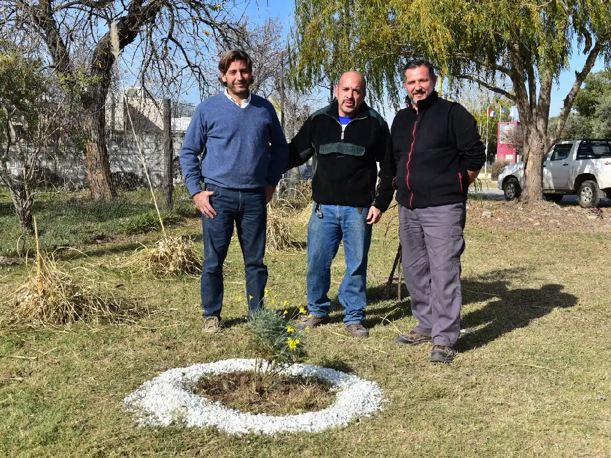Alas Memorial: Plantó margaritas amarillas para recordar a su hermano fallecido por covid   