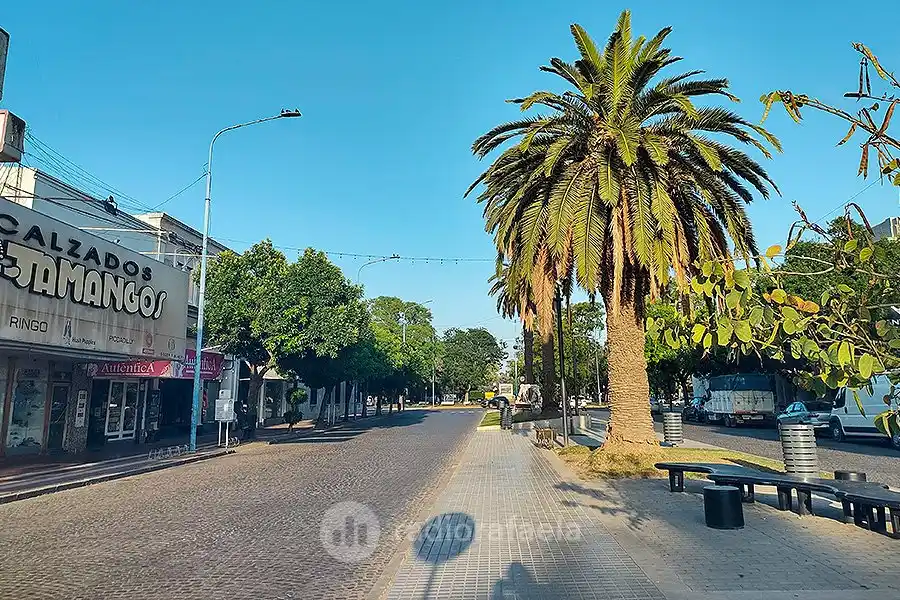 Cada vez se acerca más el comienzo del verano: el SMN anticipa 30° para este lunes
