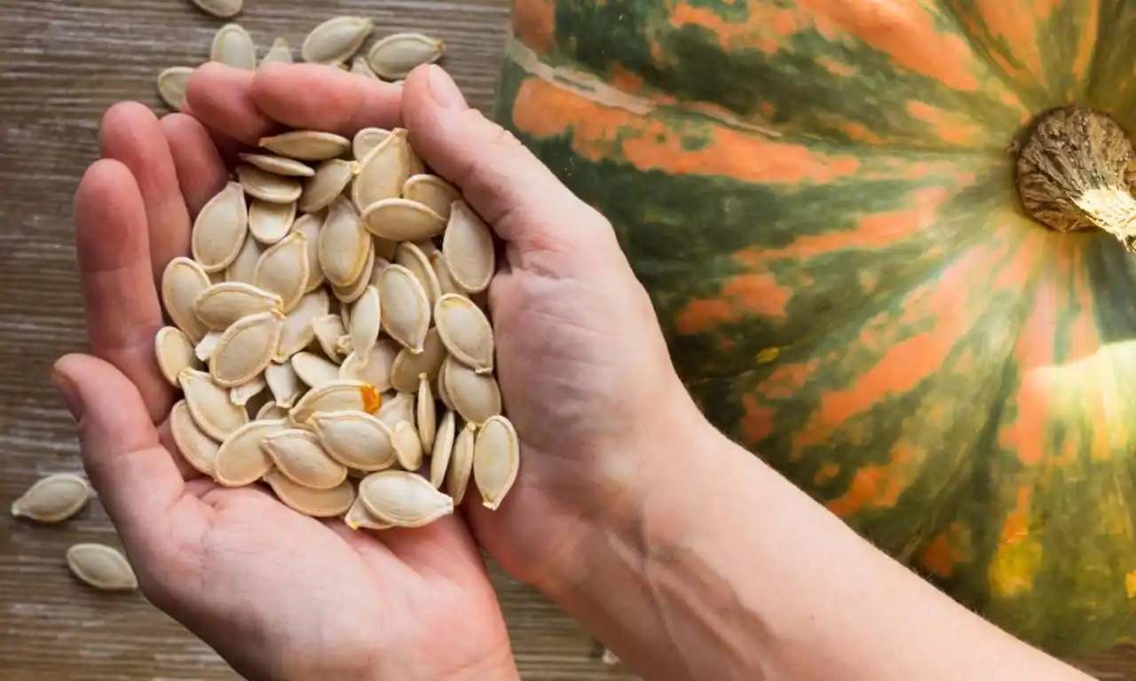 PODEROSO REMEDIO PARA LA HIPERTENSIÓN: las semillas de calabaza son ¡INCREIBLES!