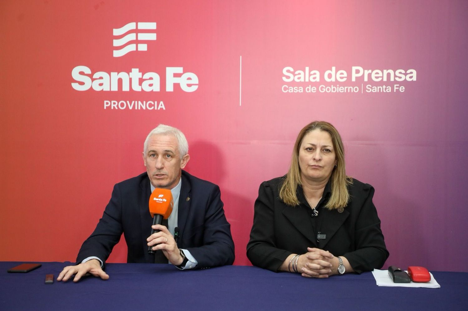 La provincia detectó la presencia del mosquito transmisor del dengue y piden extremar las prevenciones