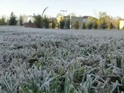 Alerta por frío extremo: Gualeguaychú tendrá una mañana con temperaturas cercanas a cero