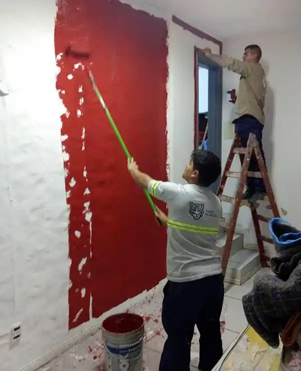 Tigre prepara su refugio nocturno para la llegada de la temporada invernal