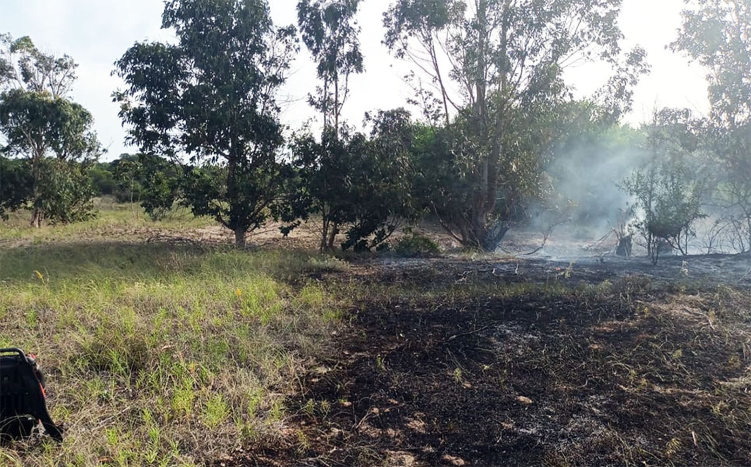 Bomberos combatieron el fuego en áreas de médanos