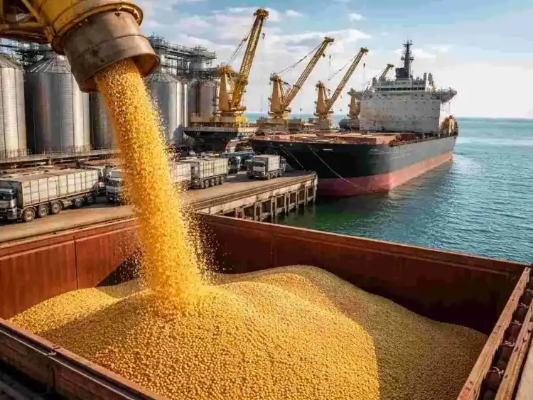 Las exportaciones del campo marcarán un nuevo récord en el primer cuatrimestre