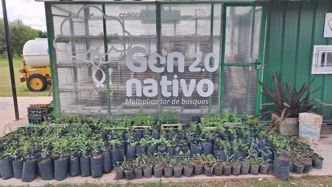 El Vivero Municipal forma parte del programa Gen Nativo.
