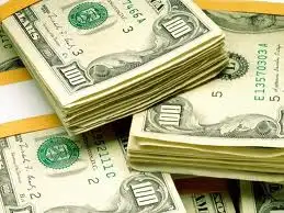 Paraná: encontró una billetera con 1.600 dólares y la devolvió