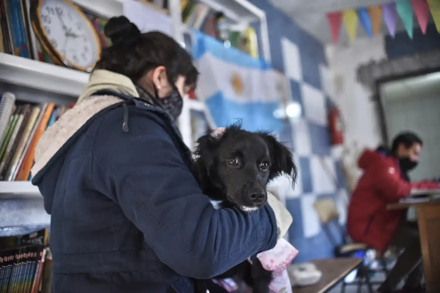 Continúa el cronograma de castración y vacunación para animales de compañía