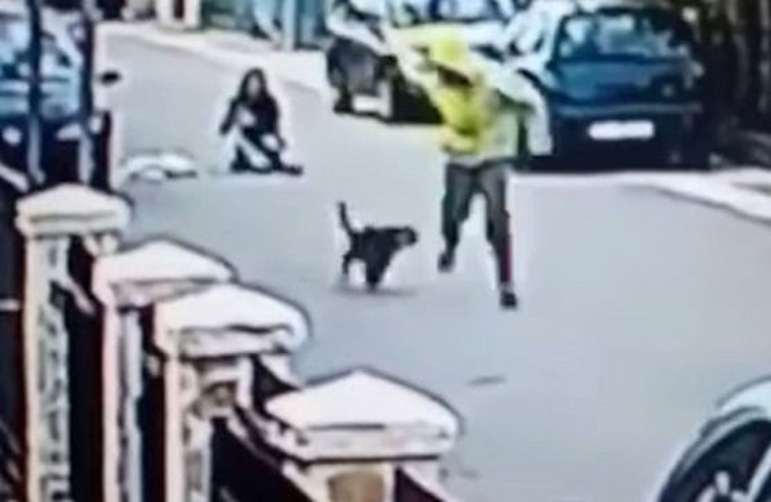 Video: El perro que salvó a una mujer de un violento asalto