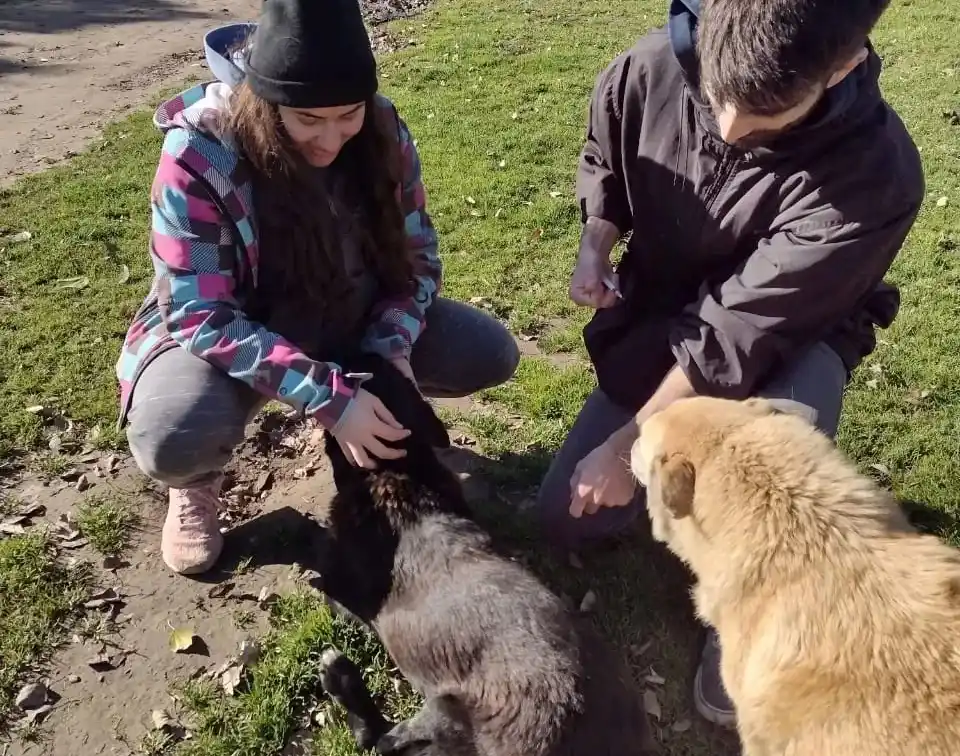“Somos menos de diez personas para más de 270 perritos”