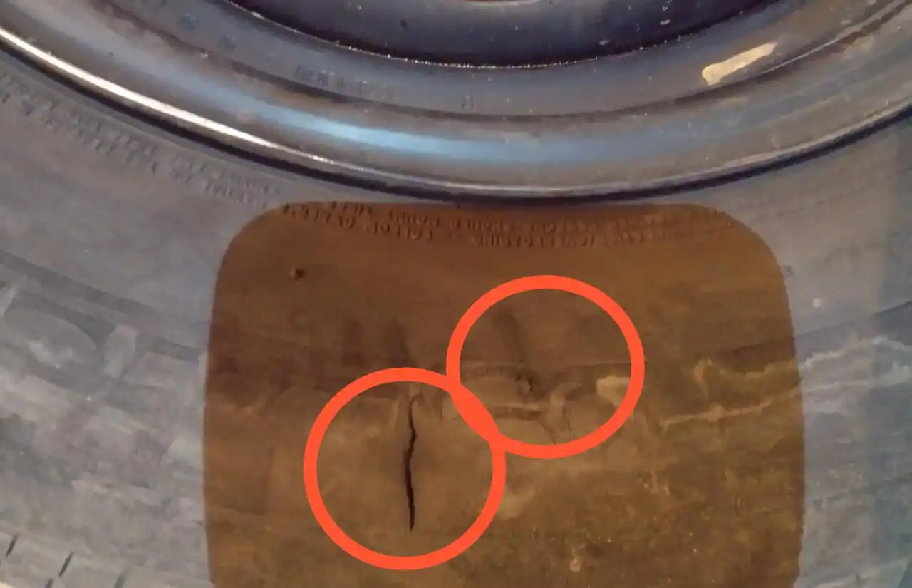 Perros sueltos en el centro: “Me destrozaron la cubierta”