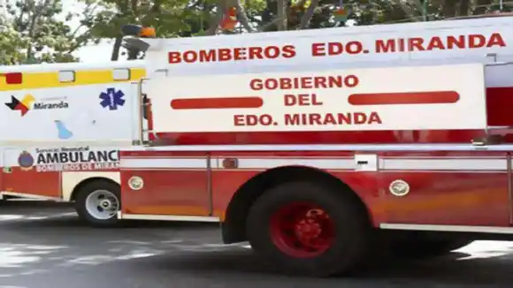 Un bombero muere tras ataque de abejas en los Valles del Tuy