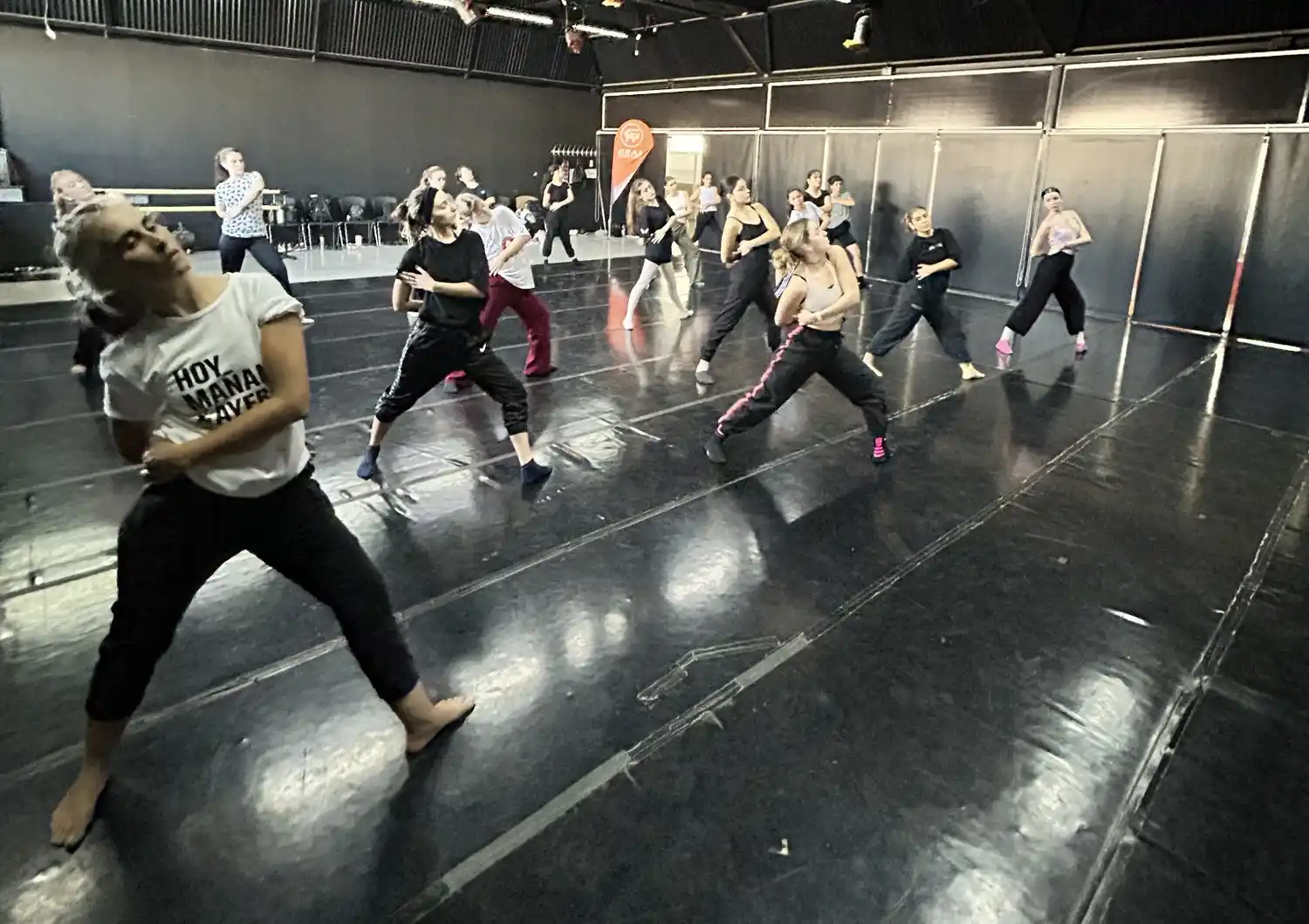 Nueva edición de Danzando