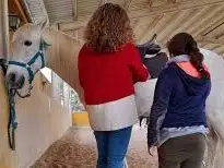 Equino