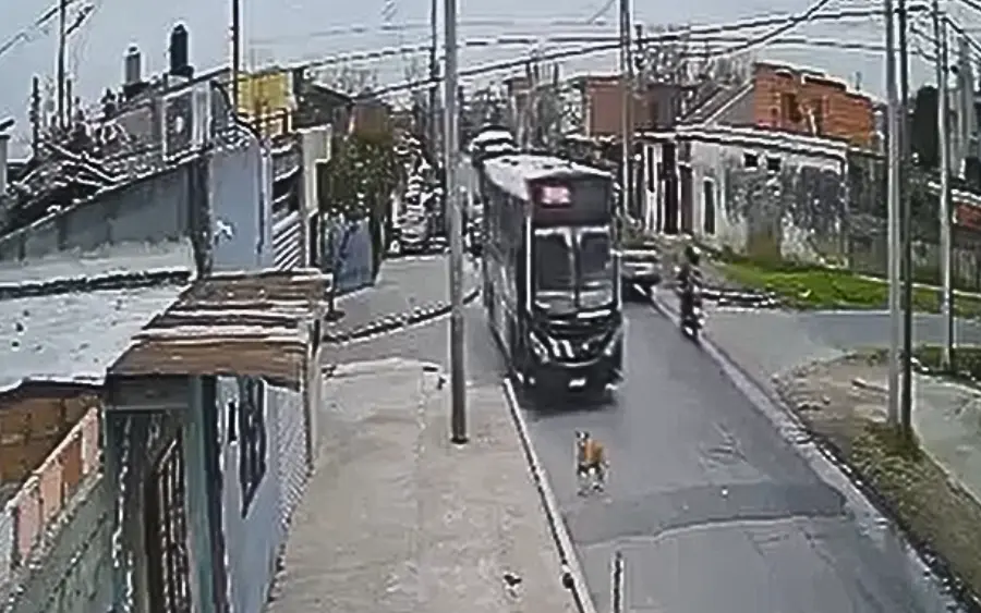 Captura de video