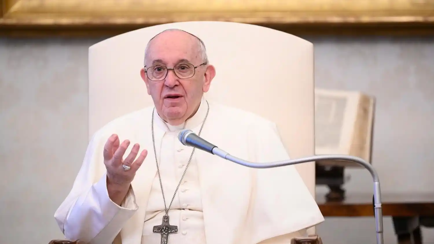 Papa insta a proteger el ambiente