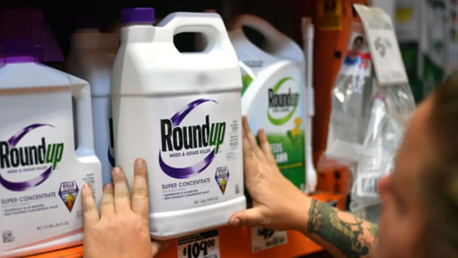 Monsanto le debe pagar US$ 81 millones a un enfermo de cáncer por el glifosato