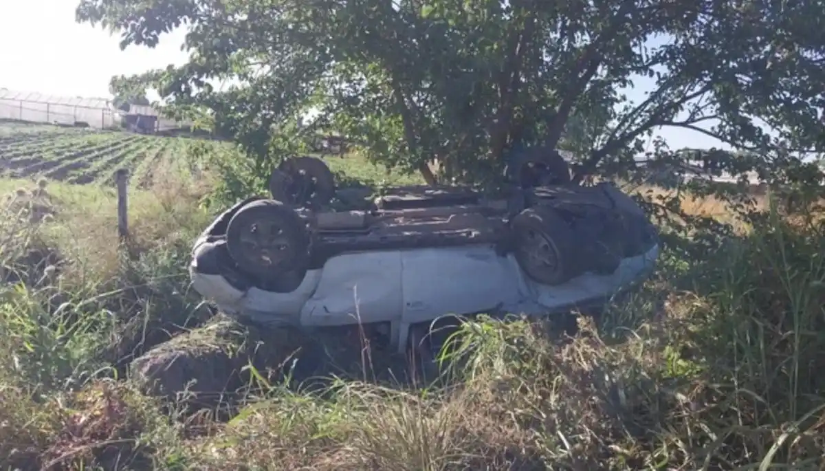 Tragedia en La Plata: su mujer le dio un mate mientras manejaba rumbo a la Costa, perdió el control del vehículo y murió