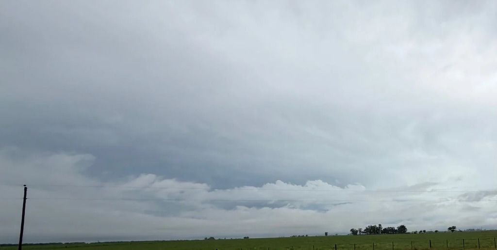 Excesos hídricos y realidades dispares marcan el pulso productivo en la región