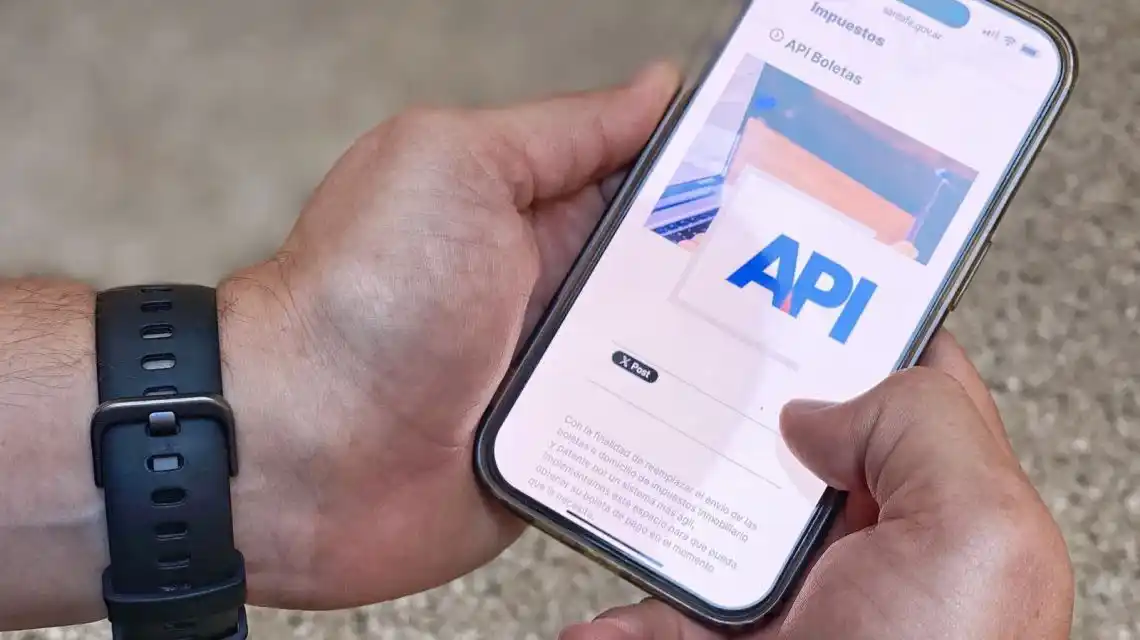 La provincia confirmó que hubo más de 100.000 adiciones a Mi Boleta Digital de API