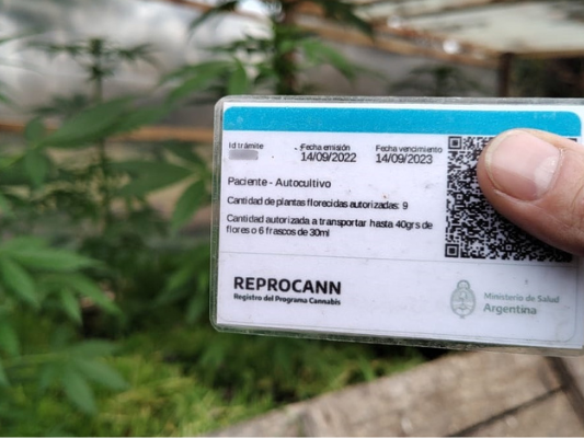 La carta de Jeremías: "Bullrich amenaza con quitar el acceso a la salud, eliminando el Reprocann"
