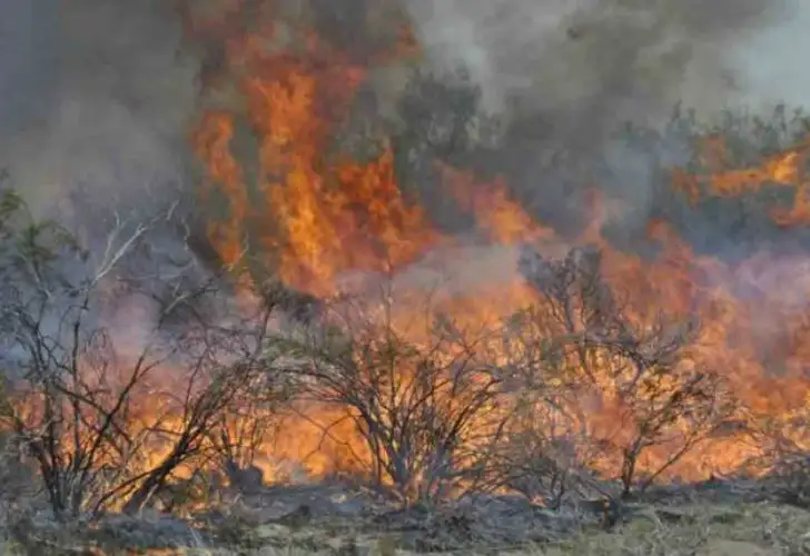 Continúan activos focos de incendios forestales en Jujuy y Neuquén