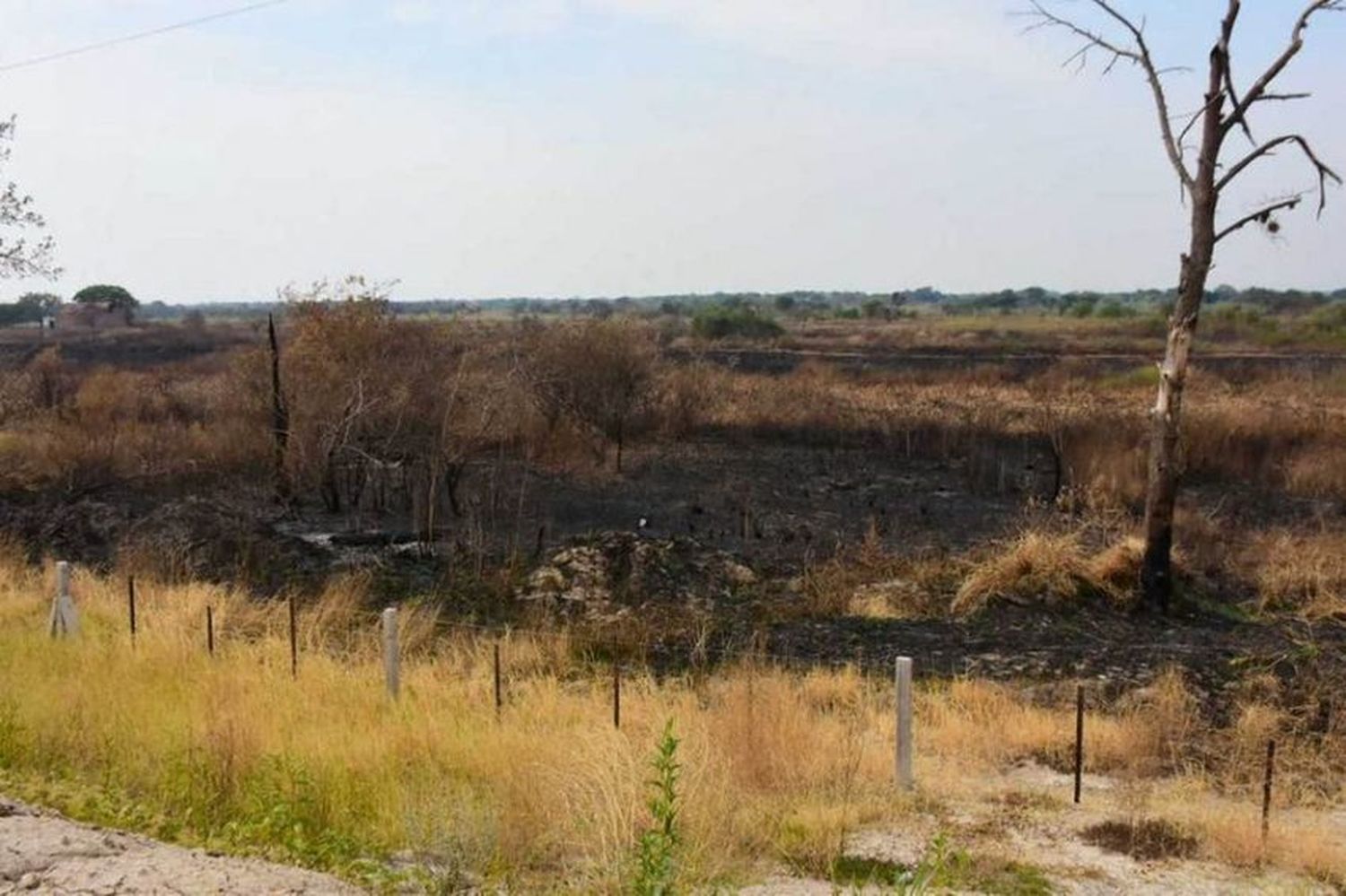 Formosa presenta hoy en Buenos Aires informes para homologar la emergencia agropecuaria