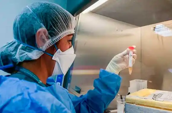 COVID-19 en el país: confirman 2.439 nuevos casos y 26 muertes