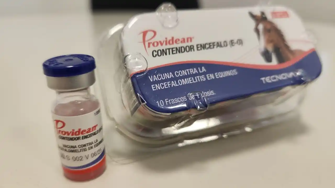 Encefalomielitis equina: Aprobaron 80 mil dosis de la vacuna que permite combatir el virus