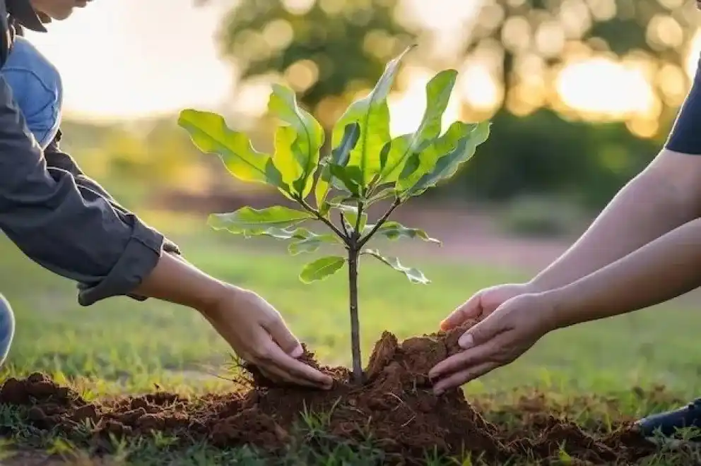 Invitan a los vecinos a capacitarse para ser embajadores ambientales