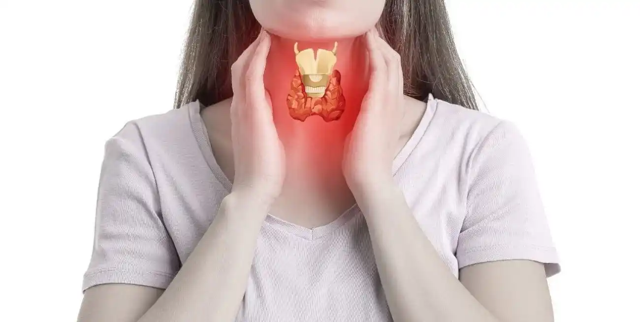 Se busca generar conciencia sobre la importancia de controlar el funcionamiento de esta glándula ubicada en el cuello . Crédito: Gentileza